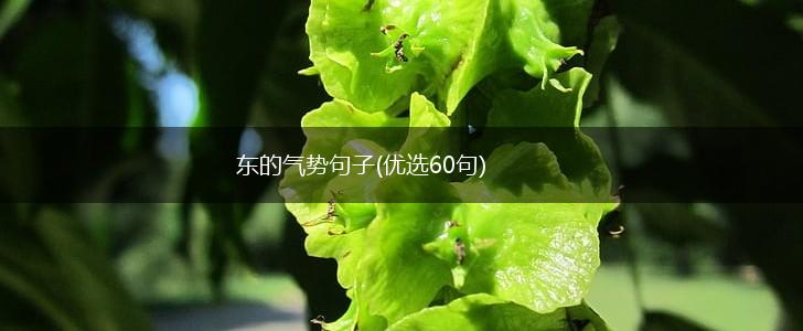东的气势句子(优选60句),第1张