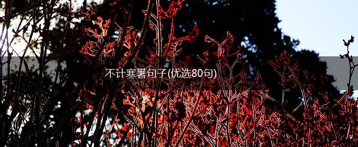 不计寒暑句子(优选80句),第1张