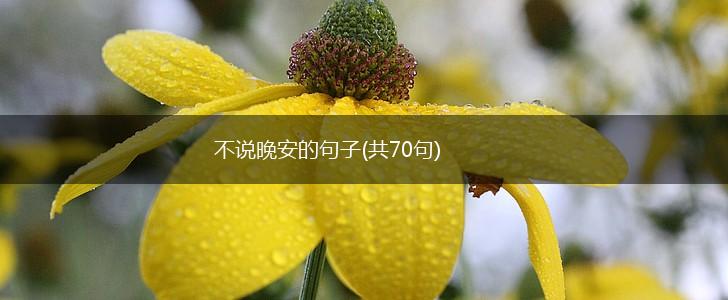 不说晚安的句子(共70句),第1张