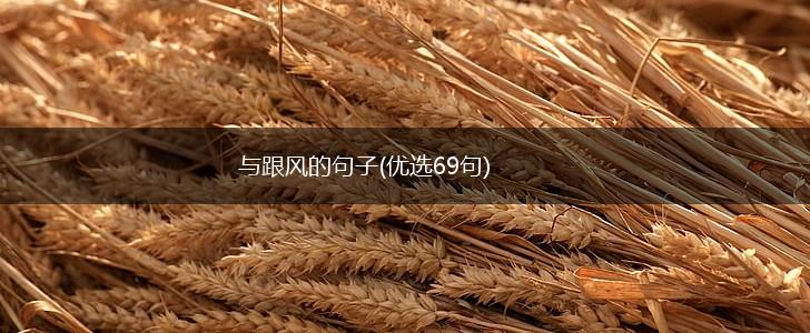 与跟风的句子(优选69句),第1张