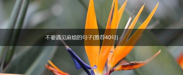 不要遇见麻烦的句子(推荐40句),第1张