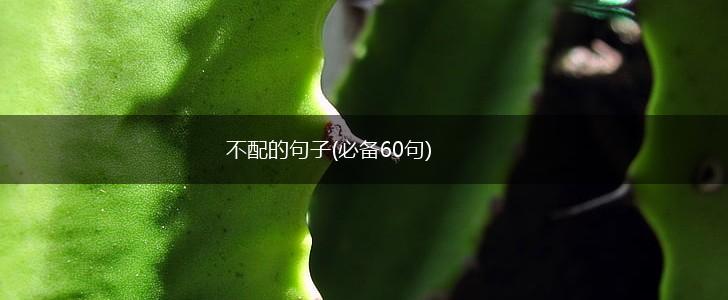 不配的句子(必备60句),第1张