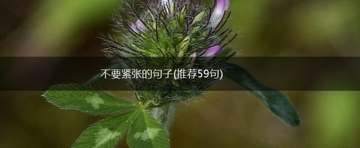 不要紧张的句子(推荐59句),第1张