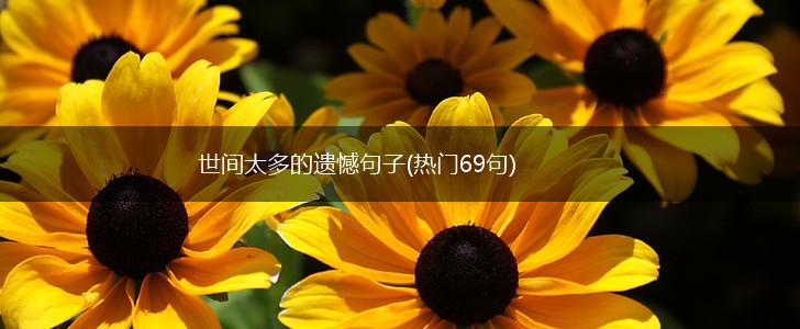 世间太多的遗憾句子(热门69句),第1张