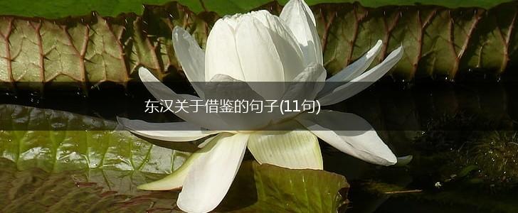 东汉关于借鉴的句子(11句),第1张