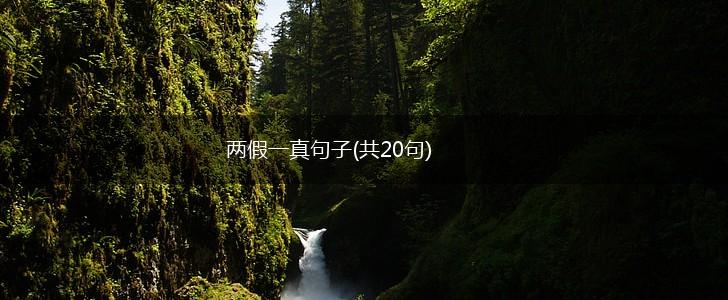 两假一真句子(共20句),第1张