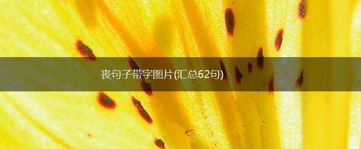丧句子带字图片(汇总62句),第1张