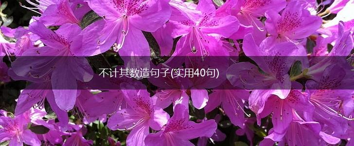 不计其数造句子(实用40句),第1张