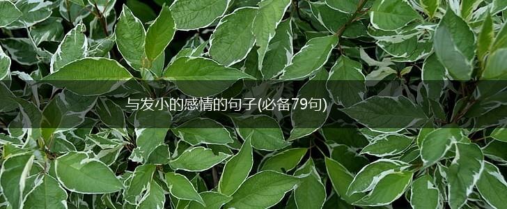 与发小的感情的句子(必备79句),第1张