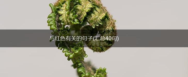 与红色有关的句子(汇总40句),第1张