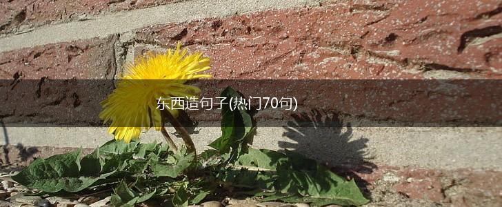 东西造句子(热门70句),第1张