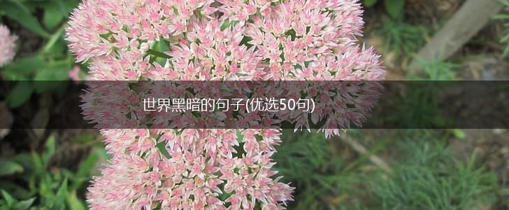 世界黑暗的句子(优选50句),第1张