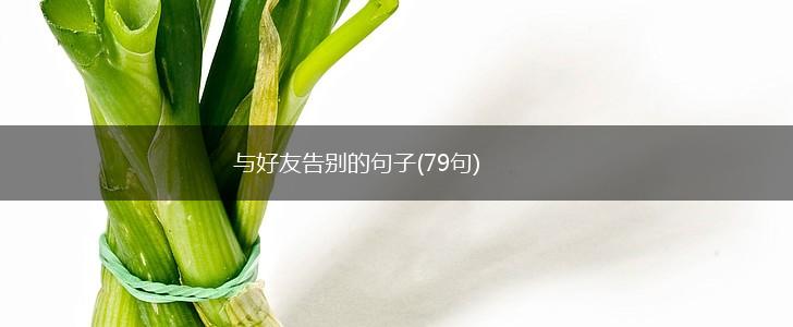 与好友告别的句子(79句),第1张