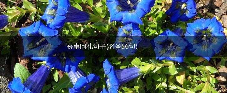 丧事回礼句子(必备56句),第1张