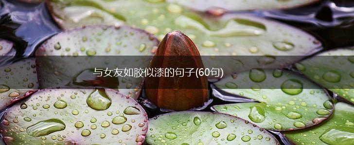 与女友如胶似漆的句子(60句),第1张
