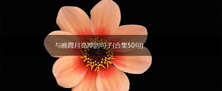 与晚霞月亮押韵句子(合集50句),第1张