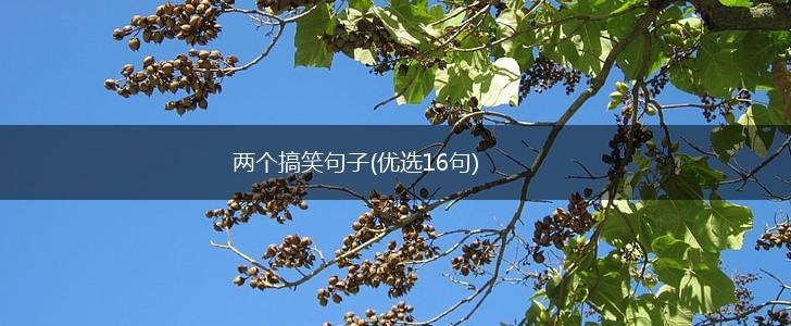 两个搞笑句子(优选16句),第1张