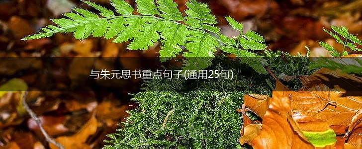 与朱元思书重点句子(通用25句),第1张