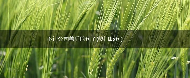 不让公司善后的句子(热门15句),第1张