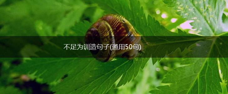 不足为训造句子(通用50句),第1张