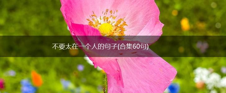不要太在一个人的句子(合集60句),第1张