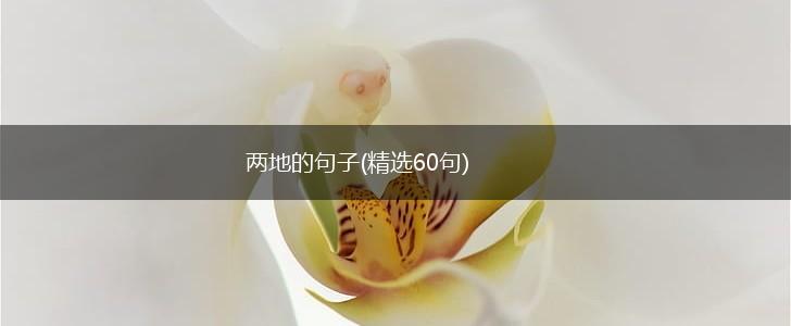 两地的句子(精选60句),第1张