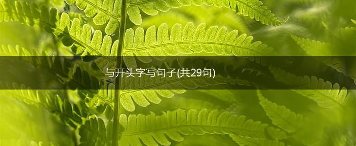 与开头字写句子(共29句),第1张