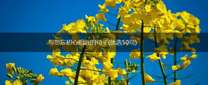 与勿忘初心相近的句子(优选50句),第1张