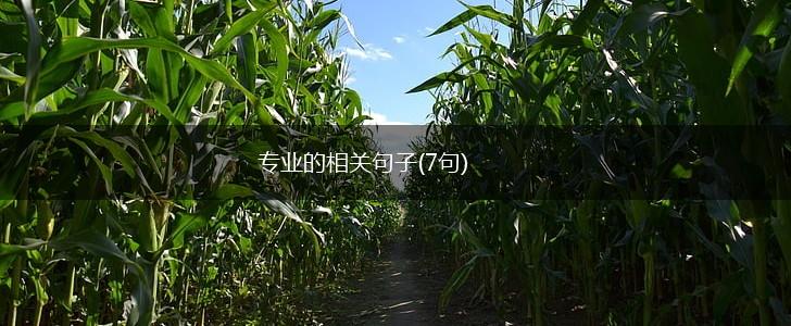 专业的相关句子(7句),第1张