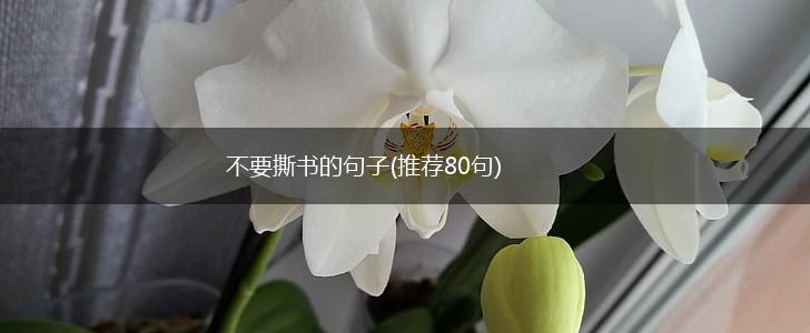 不要撕书的句子(推荐80句),第1张