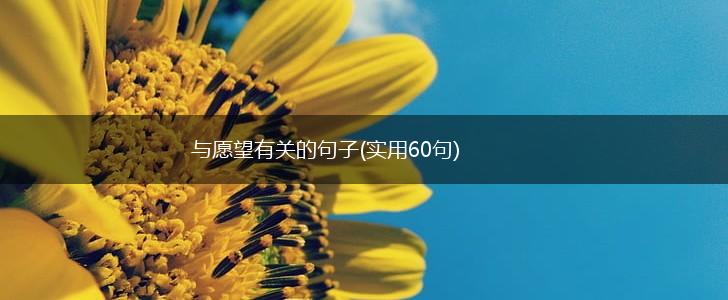 与愿望有关的句子(实用60句),第1张