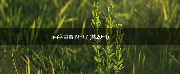 两字重叠的句子(共20句),第1张