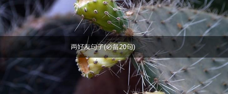 两好友句子(必备20句),第1张
