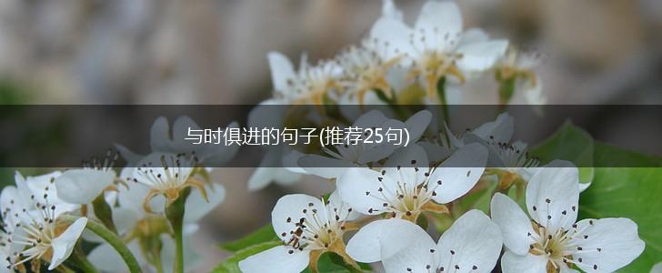 与时俱进的句子(推荐25句),第1张