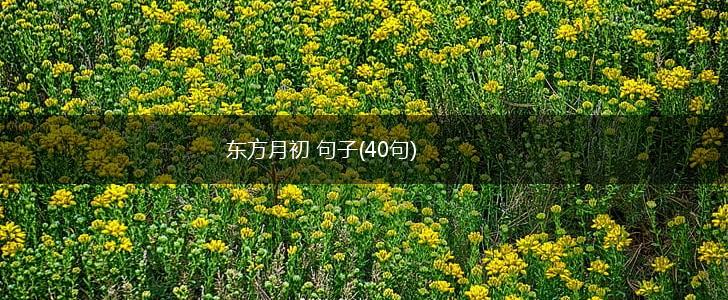 东方月初 句子(40句),第1张