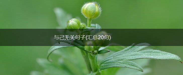 与己无关句子(汇总20句),第1张