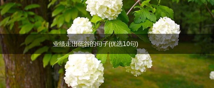 业绩走出低谷的句子(优选10句),第1张