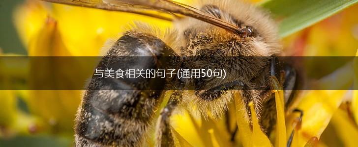 与美食相关的句子(通用50句),第1张