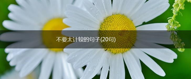 不要太计较的句子(20句),第1张