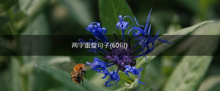 两字重复句子(60句),第1张