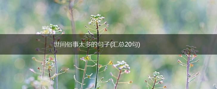 世间俗事太多的句子(汇总20句),第1张