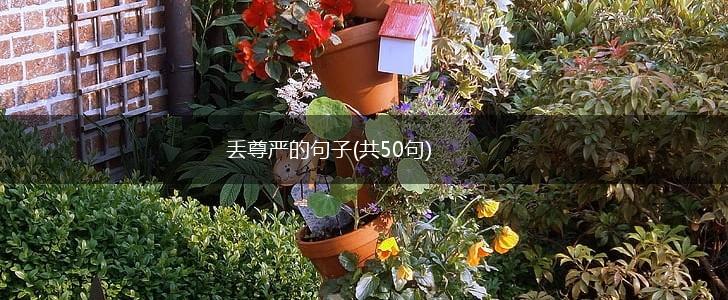丢尊严的句子(共50句),第1张
