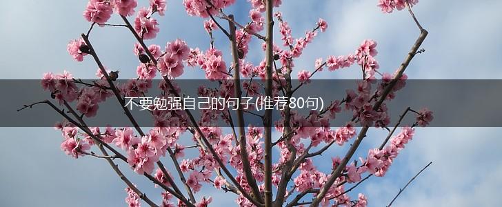 不要勉强自己的句子(推荐80句),第1张