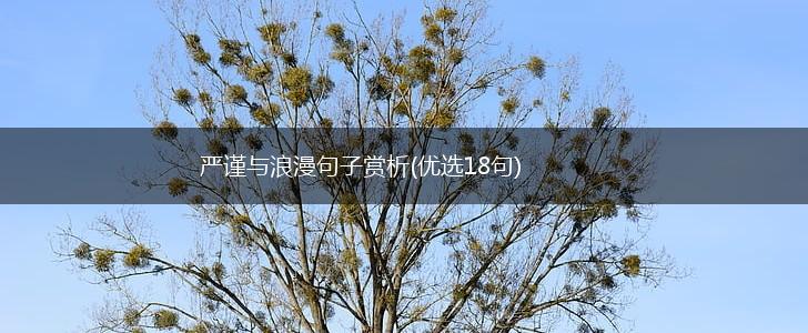 严谨与浪漫句子赏析(优选18句),第1张
