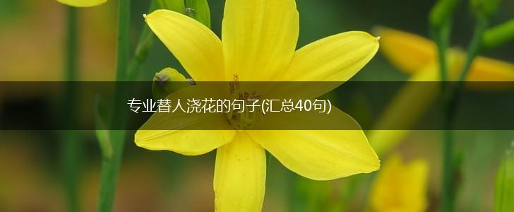 专业替人浇花的句子(汇总40句),第1张