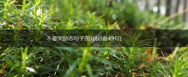 不要哭励志句子图片(必备49句),第1张
