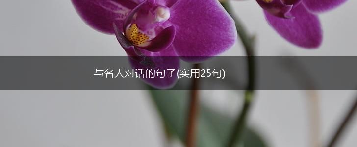与名人对话的句子(实用25句),第1张