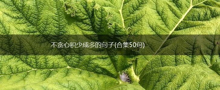 不贪心积少成多的句子(合集50句),第1张