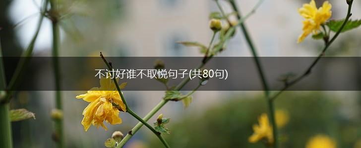 不讨好谁不取悦句子(共80句),第1张