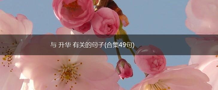 与 升华 有关的句子(合集49句),第1张